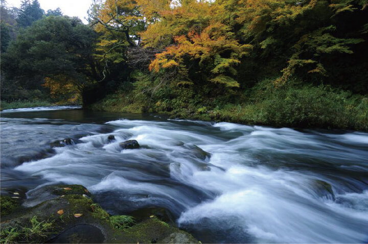 マ21の周辺は自然と温泉に囲まれています
